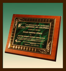 TROFEOS EN MADERA Y LAMINA