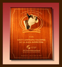 PLACAS EN MADERA O COMBINADAS CON PORCELANA FRIA